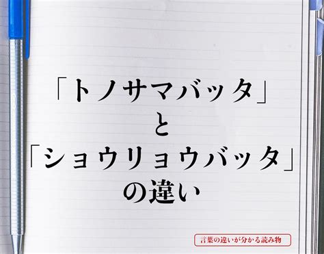 要領|要領(ヨウリョウ)とは？ 意味や使い方